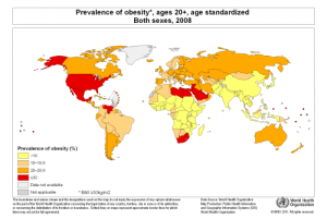 global obesity 2008 and physical literacy