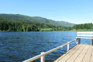 Lake Westwood